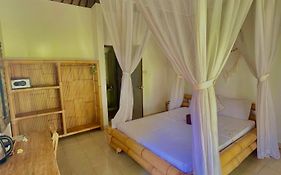 Green Coco House